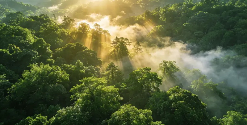 烟台肺癌12基因ctDNA突变检测(血液）图片1