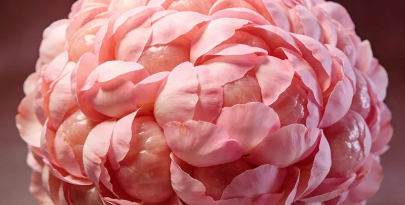 烟台BRCA1/2乳腺癌卵巢癌基因检测图片1