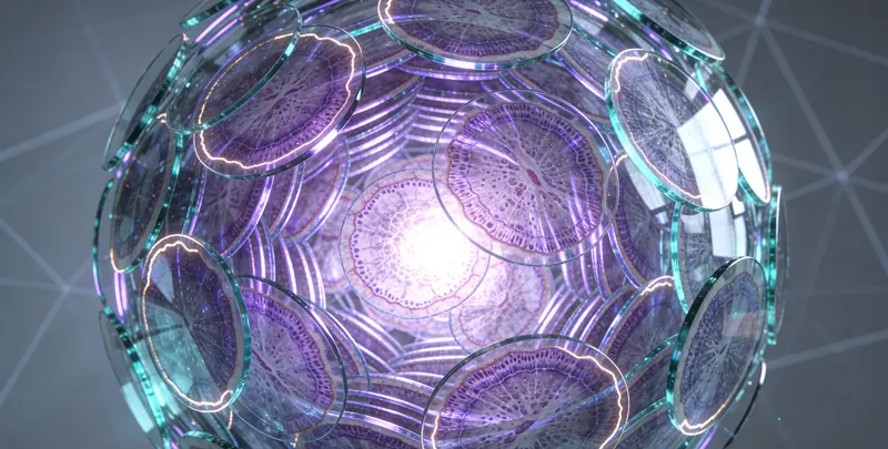 肿瘤靶向120基因检测（组织）图4